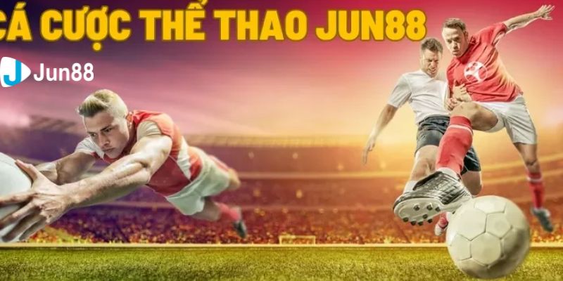 Giới thiệu sảnh thể thao